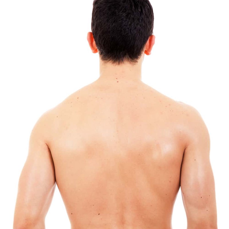 Back | Norfolk & Waveney Community Musculoskeletal Services (NoW MSK)