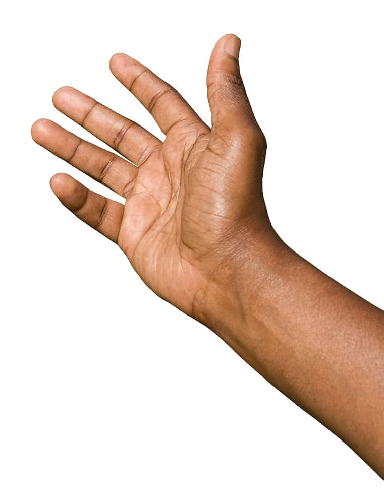 Hand and wrist with partial arm